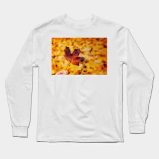 Hand holding brown maple leaf Long Sleeve T-Shirt